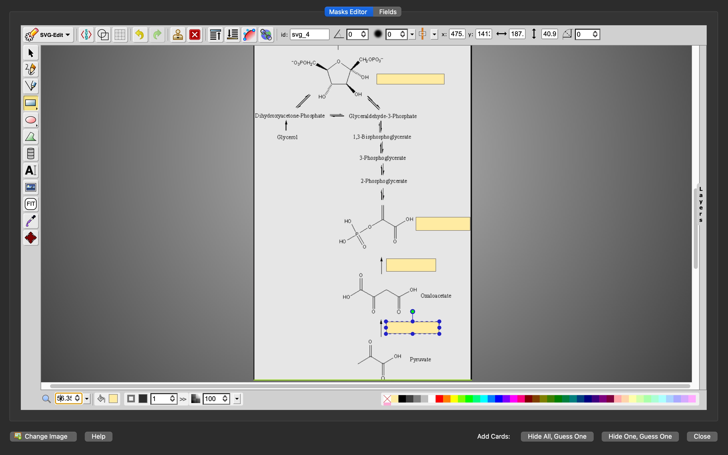 Image occlusion example